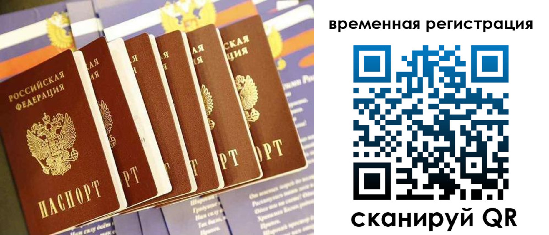 временная регистрация поиск в Торжоке